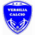 logo Camaiore Calcio