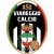 logo Viareggio Calcio M. P. S. C.